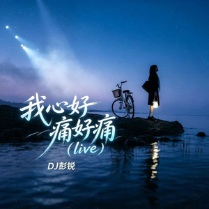 夜雨中的迈巴赫- song and lyrics by DJ彭锐| Spotify