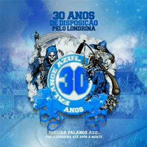 Torcida Falange Azul & TFA - Falange Azul - 30 Anos