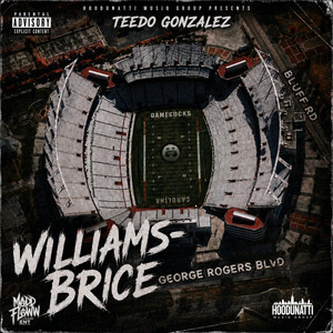 Williams-Brice by Teedo Gonzalez