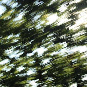 In Motion by Kaiteki
