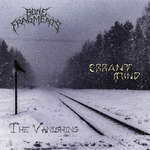 Bone Fragments artist photo