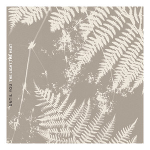 The Light the Heat — Until You (2026)