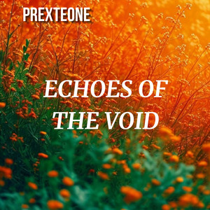 Echoes of the Void by PREXTEONE