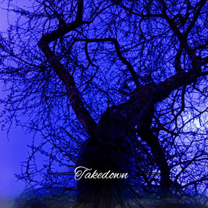 Takedown by Tricon