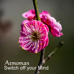 Switch off your mind by Atmoman