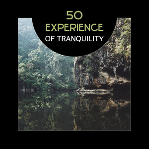 50 Experience of Tranquility – Deep State of Relaxation, Health and Well-Being, Beauty of Nature Sounds in Spa, Anxiety Free, Combat Insomnia with Yoga Nidra, Meditation album