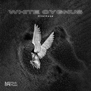 White Cygnus by HilalDeep