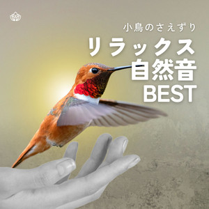 Sleeping Relaxation Music - Deep Dream -Birds Chirping-