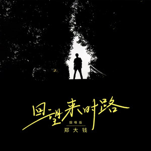 回望来时路 (烟嗓版伴奏)
