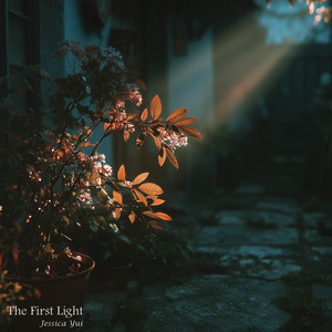 The First Light