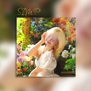 N21PDC - Simp