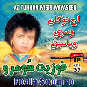 Fozia Soomro - Hun Ke Chaun Munsan