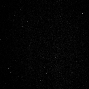 RNFTTJada - see the same