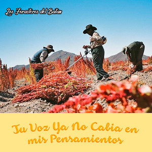 Tu Voz Ya No Cabia en mis Pensamientos by Los Forasteros del Batan