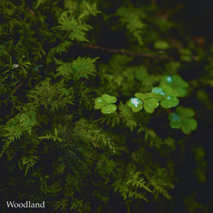 Woodland