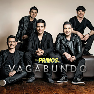 Portada de Vagabundo