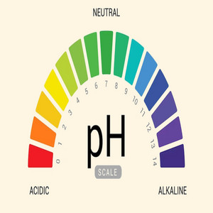 Ph-Balance by WH