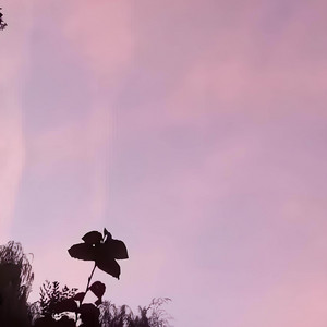 Flying Memories