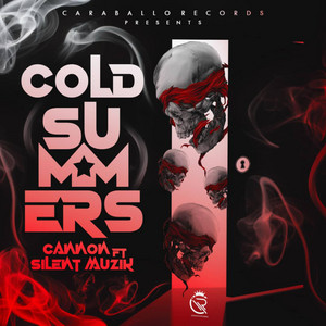 Portada de Cold Summers
