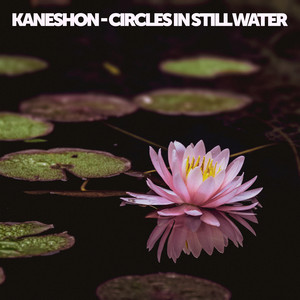 The Quiet Life by Kaneshon