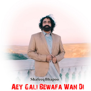 Aey Gali Bewafa Wan Di