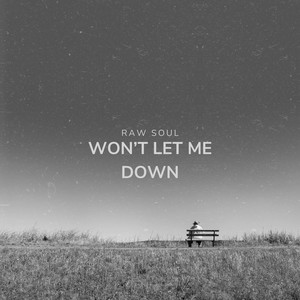 Won't Let Me Down