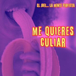 DJ Joel. la Mente Perfecta - Me Quieres Culiar