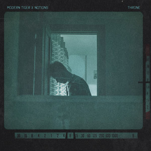 THRONE by Modern Tiger, Notions