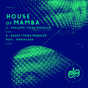 Escape by Tribu Modular