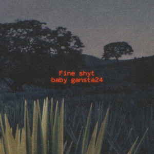 Fine Shyt by BABY GANSTA24