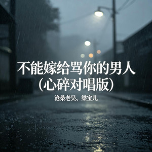 不能嫁给骂你的男人 - 心碎对唱版 by 沧桑老吴, 梁宝儿