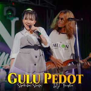 Syahiba Saufa - Gulu Pedot (feat. DJ Theplex) [feat. DJ Theplex]