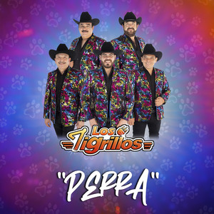 Portada de Perra