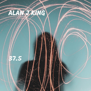37.5 by Alan J King