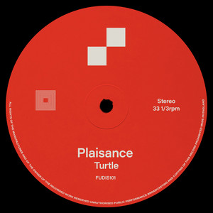 Turtle by Plaisance
