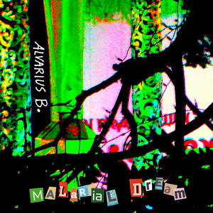 album cover: Malarial Dream