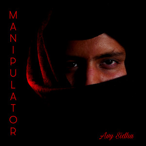 Manipulator by Avy Sidhu