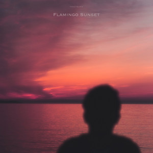 Flamingo Sunset by FRXSTBURN