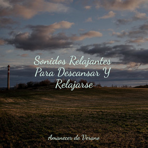 Sonidos Relajantes Para Descansar Y Relajarse