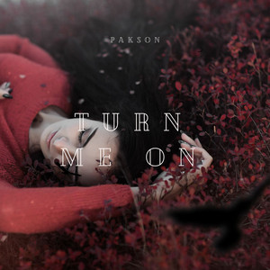 Turn Me On by Pakson