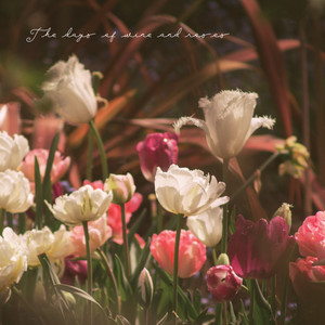 The Days of Wine and Roses by Vincent Barbosa