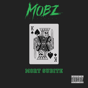 Portada de Mort subite