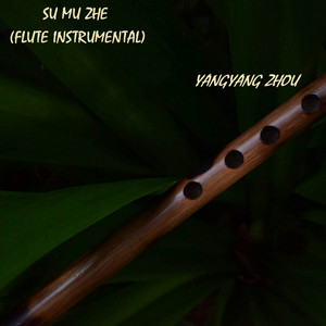 Su Mu Zhe (Flute instrumental) by YangYang Zhou