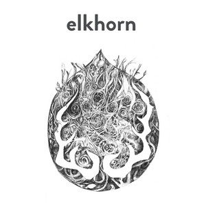 Elkhorn cover
