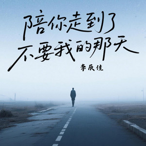 陪你走到了不要我的那天 - 伴奏 by 赵欣宇