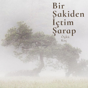 Bir Sakiden İçtim Şarap by Öykü Koç