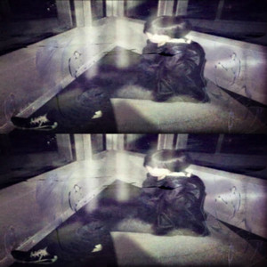 album cover: Re:import