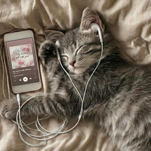 My heart is still with you by ZML