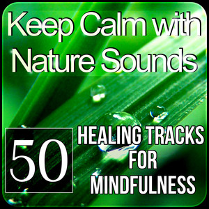Keep Calm with Nature Sounds: 50 Healing Tracks for Mindfulness, Relaxation and Yoga Meditation, Therapy Music for Sleep, Spa Massage album