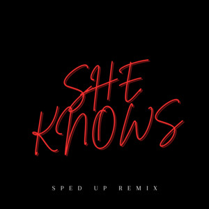 She Knows (TikTok Version) [Remix] - Single by Xanemusic | Spotify